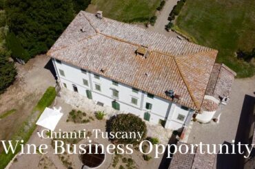 Palagio Estate - A wine business opportunity in Tuscany