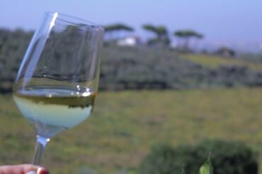 Crisp & Refreshing Frascati Superiore wine on the terrace over looking Rome