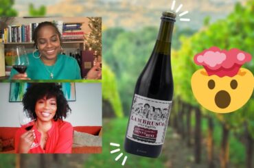 Reviewing the DRY Denny Bini dell Emilia Lambrusco SPARKLING Red Wine