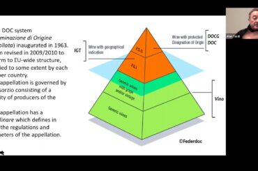 Italian Wine Masterclass