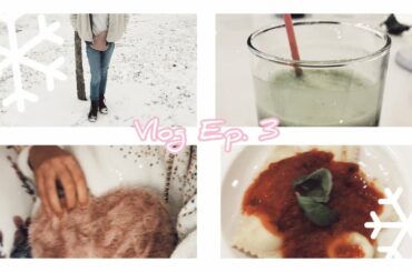 Vlog Ep. 3 || Kale smoothie, winter walk, Italian food, etc.