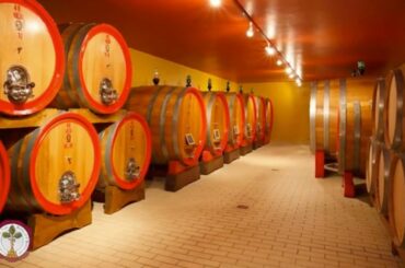 Palazzo - Brunello di Montalcino 2015 - Brunello Wine Tasting Weekend Episode 7 of 31