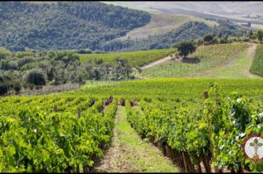 Collemattoni - Brunello di Montalcino 2015 DOCG - Brunello Wine Tasting Episode 12 of 31