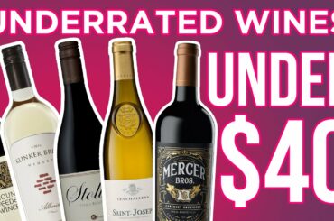 Most Underrated Wines | Best & Affordable Wine Under $40