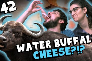 We Tried Cheese Made with Water Buffalo Milk! (Quadrello di Bufala) - #42
