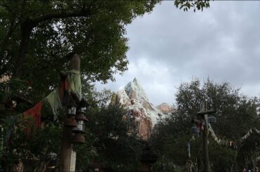 Finally Back Home!!! | Best Italian Restaurant on Property? | AK | La Luce