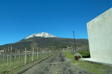 Episode16 : A day trip to Mt. Vesuvius |  Wine Tasting | Snow playing