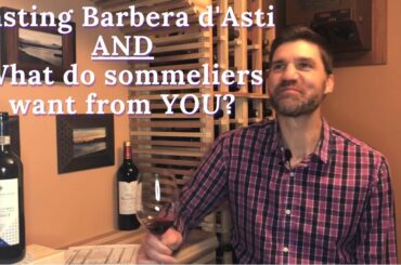 Wine #3: UPDATED Barbera from Piedmont Italy AND what do sommeliers want from YOU?