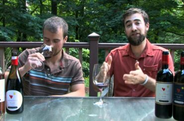 The Wine Brothers - Tuscan Syrah!