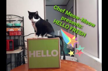 Hello Fresh Unboxing, Cooking and Review - Italian Chicken & Pepper Sandos