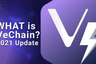 VeChain 2021: VET crypto (VTHO)