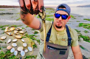 FORAGING for CLAMS!! {CATCH CLEAN COOK} Clam Digging for Italian Clam Creamy Soup