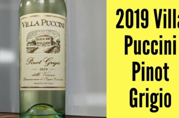 2019 Villa Puccini delle Venezie Pinot Grigio Wine Review