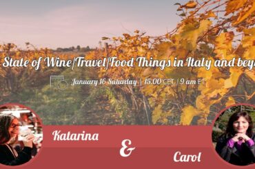 The State of Wine/Travel/Food...according to Carol & Katarina
