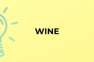What is the meaning of the word WINE?