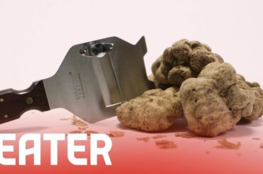 Why Chefs are Obsessed with White Truffles, the Cocaine of the Dining World