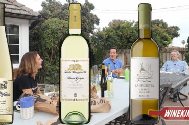(2/2) Affordable & popular white wines? Santa Margherita, Chateau Ste Michelle, La Planeta...