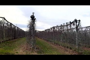 Amazing views in Tuscany, Italy