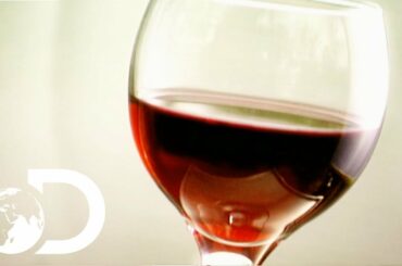 WINE | How It's Made