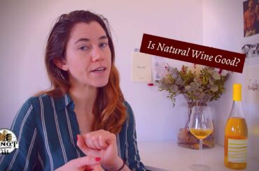 What is Natural Wine? (Not All Naturals Wines are Created Equal)