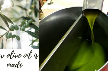 How traditional Italian olive oil is made /Life in Sicily  #italianoliveoil #lifeinsicily