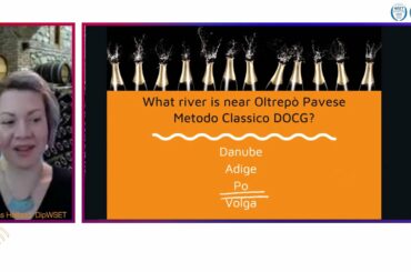 Wine Wedhesday Triva 1/20/2021