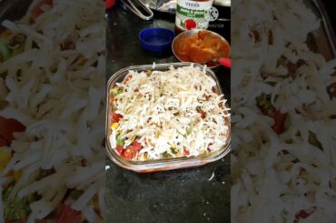Vegetable Lasagna, yummy Italian recipe with cheese Red and White Suace