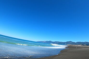 quick 1 hour surfcasting sesh for lunch lake ferry