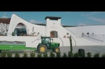 How Chateau GRAND BARI wine is born SK CN