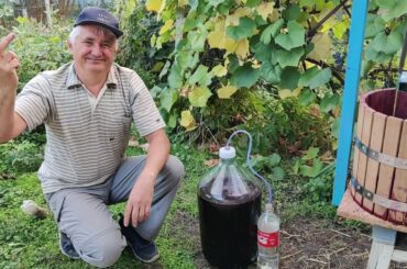Home winemaking. Making red wine from grape berries at home. Part 2.