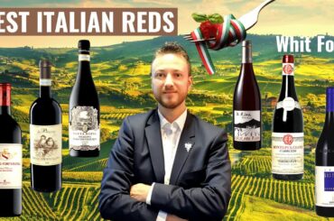 Italian red wines to pair with food - (The most famous Italian Red wines paired with nice food)