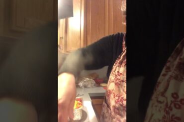 Episode 65 Italian Turkey Stuffed Pepper