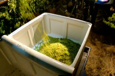 How to make a $10 wine - EP11 - Start of Vintage 2021