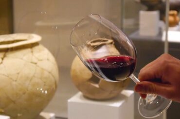 Sacco Vignaioli Apuli - History