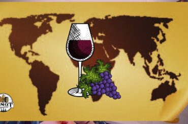 Old World Wine vs. New World Wine (Helpful Breakdown)