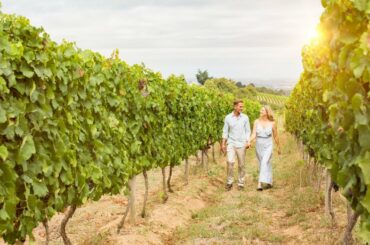 Globetrotting Gourmet Wine Pairings