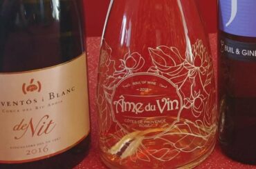 Finding the perfect wine for Valentine's Day