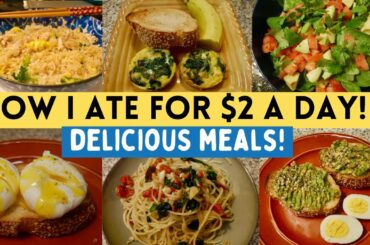HOW TO EAT DELICIOUS FOOD FOR $2 A DAY! | EXTREME GROCERY BUDGET CHALLENGE