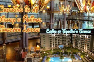 Checking in at Animal Kingdom Lodge | Eating an Amazing Dinner at Topolino's Terrace