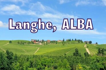 Langhe, Alba | Discover Alba | Langhe | Alba Tartufi Vini e Nocciole | Cuneo, Langhe, Piedmont Italy