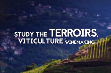 Italian Wine Scholar for 2021 - This Wine Scholar Guild Course is only taught once a year in CO.