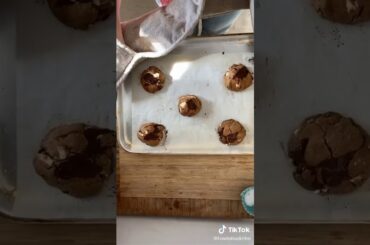 Best Street Foods from the World in Gorizia, Italy International Street Food Festival