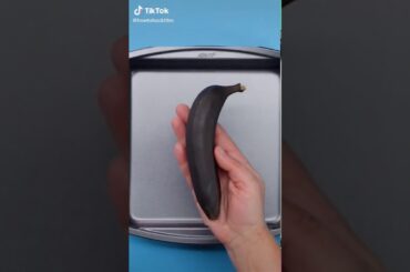 Best Street Foods from the World in Gorizia, Italy International Street Food Festival