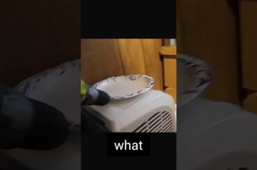 Italian Cuisine Demonstration