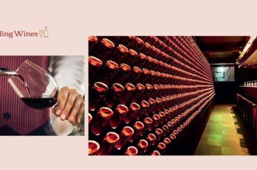 Winery & Boutique Hotel project in Lemnos