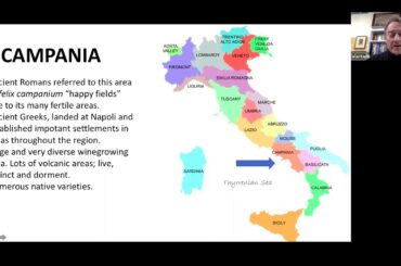 Campania - Basilicata- Sardegna Italian Wines