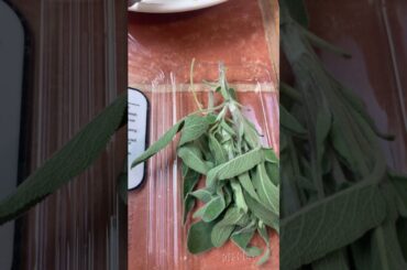 Rachel Ray recipe, my favorite Italian chef at food network.