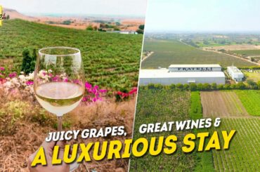 Agla Stop: An Experiential Stay At Fratelli Vineyards | Solapur