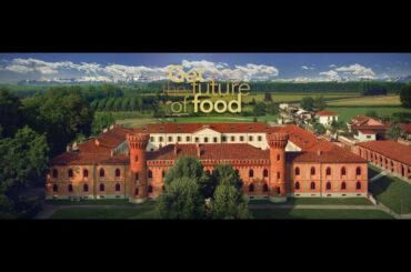 Open Day Online | Master in Wine Culture and Communication