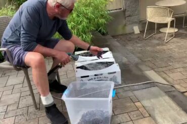 WINE MAKING SERIES - EPISODE 2 - CLEANING & CRUSHING GRAPES